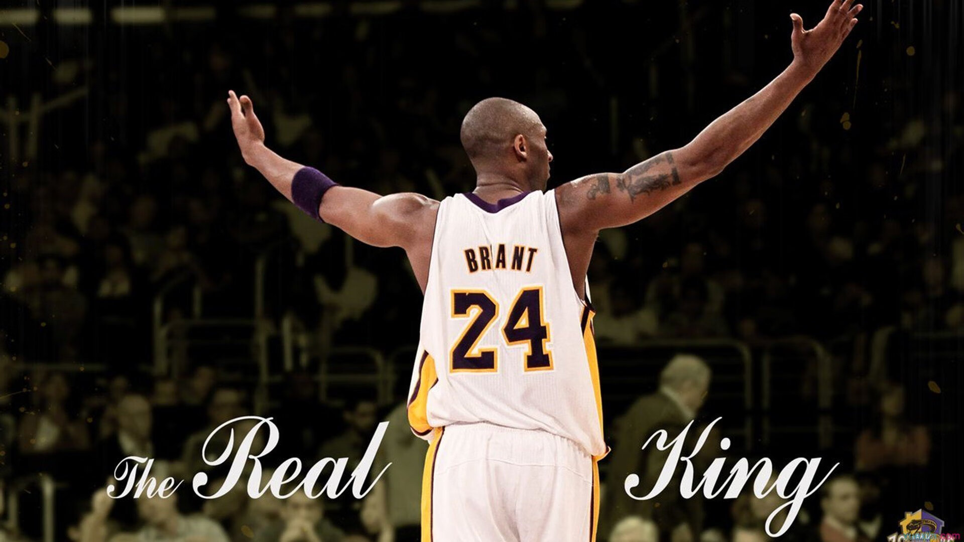 《英雄联盟》“巅峰预选”火热开启，谁能冲出重围？